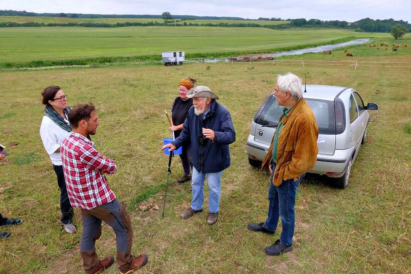 Beweidungsprojekt soll Artenvielfalt zurück an die Tollense holen